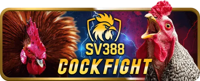 Ưu đãi và khuyến mãi hấp dẫn 365ball